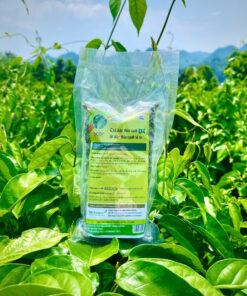 Trà dây thìa canh DK gói 100g