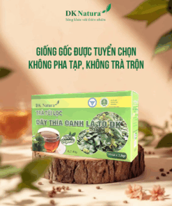 Trà túi lọc - Dây thìa canh lá to DKNatura (Hộp 14 túi lọc x 2,8g)